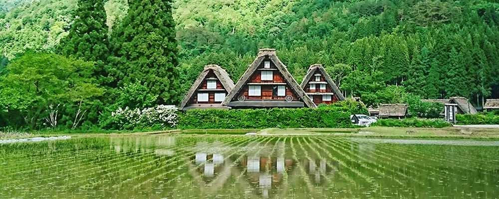 いのちを育むおいしさを